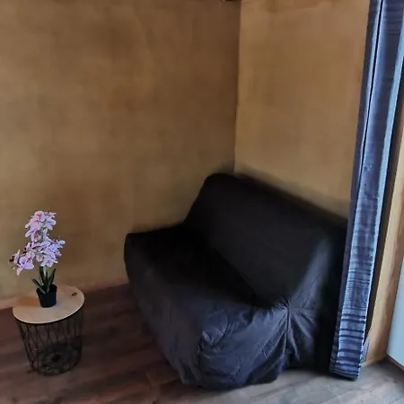 Studio T1 Mezzanine 42m2 Chalet
